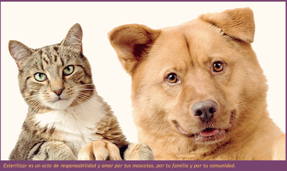 beneficios-esteri_03