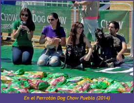 perroton-puebla